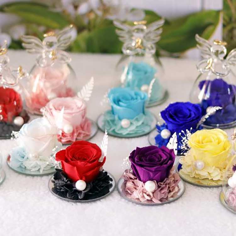 Mawar Abadi Malaikat