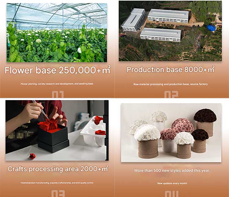 buy discount buy discount