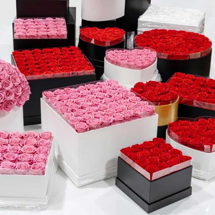 Baldi Peluk Bunga Terpelihara